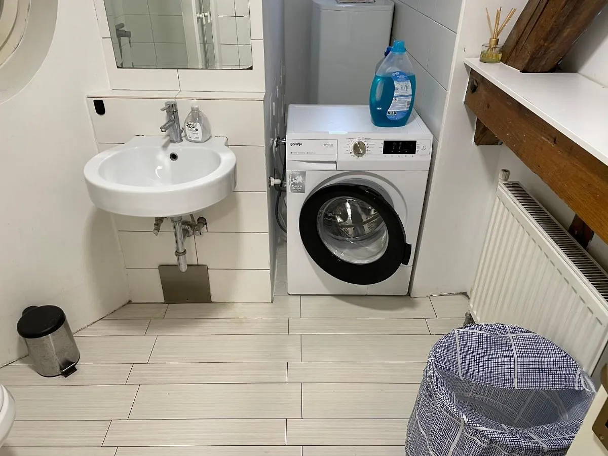 Roseman III - Centraly Located, Old Spacious Apartment Ljubljana