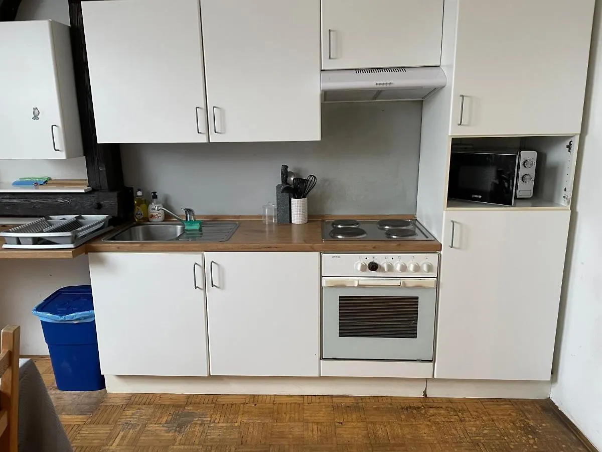 Roseman III - Centraly Located, Old Spacious Apartment Ljubljana